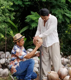 two men cracking open coconut fruit in koh samui thailand