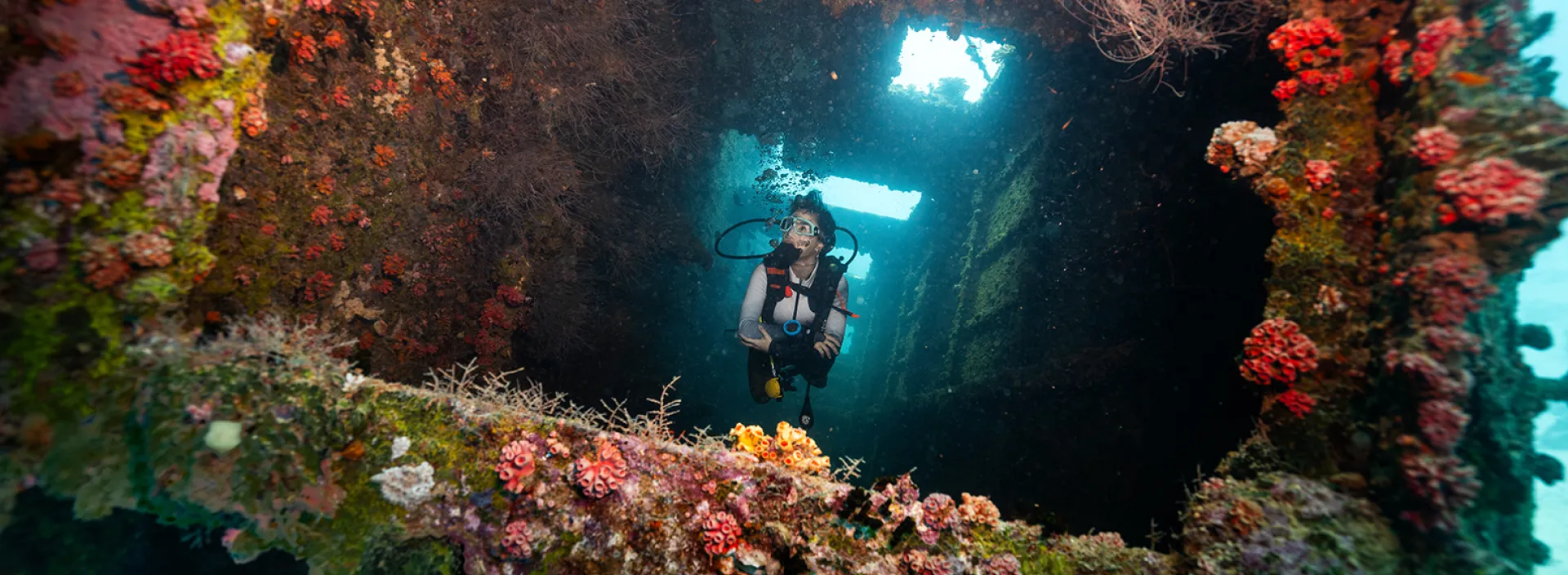 A person underwater with corals and plants at the Rannamaari shipwreck near Dhawa Ihuru in the Maldives