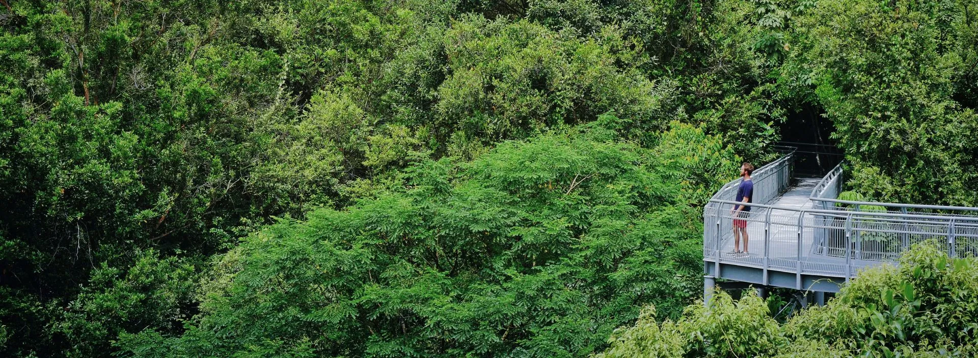 Man hiking in forest in Singapore