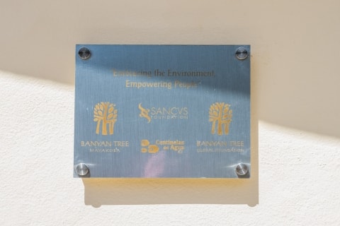 Banyan Tree Global Foundation