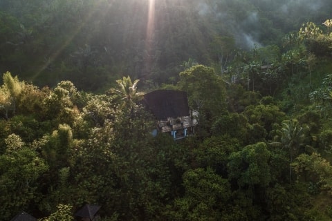 buahan banyan tree escape bali indonesia