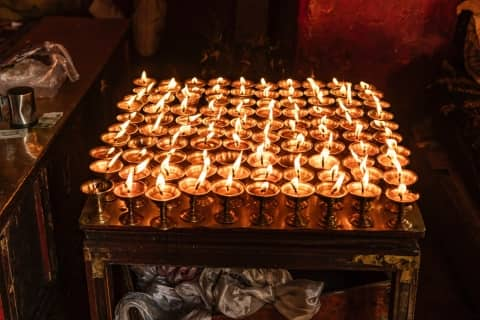 butter lamps monastery banyan tree ringha tibet