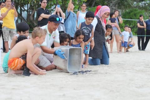 Turtle Release_Banyan Tree Bintan