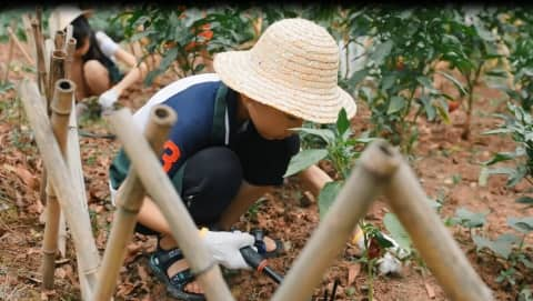 Rewilding Banyan Fund a child in a straw hat working in a garden