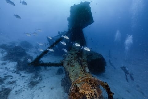 Fishes darting around the Rannamaari Shipwreck near Dhawa Ihuru in the Maldives