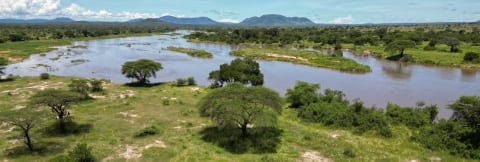 Great Ruaha River in Tanzania